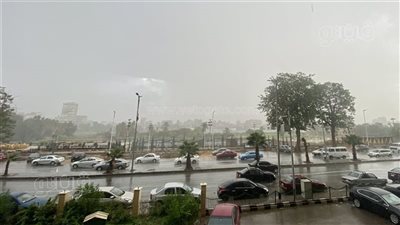 الأرصاد الجوية: سقوط أمطار على السواحل الشمالية.. وعودة الشبورة المائية | فيديو