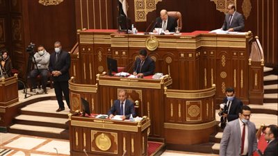 الشيوخ يواصل مناقشة مشروع قانون حقوق المسنين الأسبوع المقبل