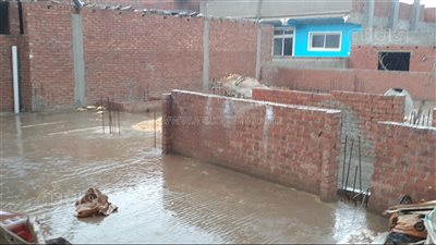 سقوط أمطار متوسطة على الغربية| فيديو