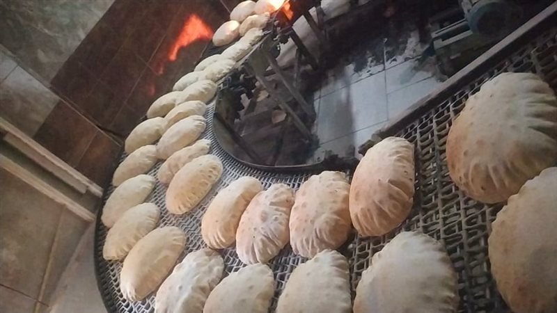 حملة تموينية بالدقهلية