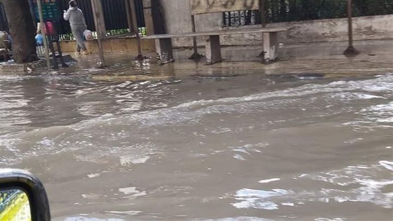 الاسكندريه