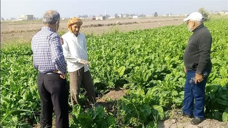 جانب من متابعة الزراعات