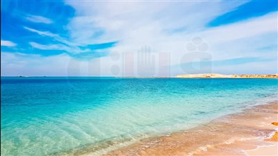 أجواء مستقرة وطقس مشمس بمطروح بعد نوة الأمطار| فيديو وصور