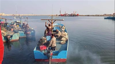  انطلاق موسم الصيد بميناء العريش البحري بعد توقف لسنوات | صور