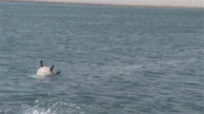 التحالف العربي يدمر 231 لغما بحريا للحوثي هددت ناقلات النفط