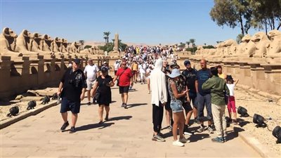 كواليس بروفات الإضاءة في احتفالية افتتاح طريق الكباش العالمية | فيديو