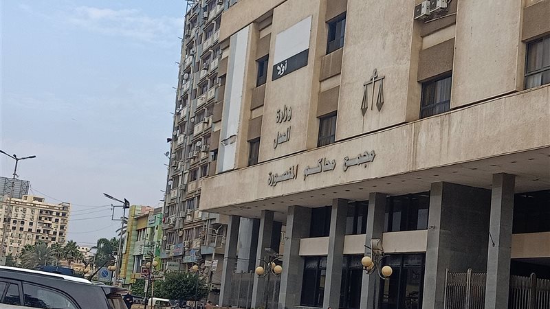 جنايات المنصورة 