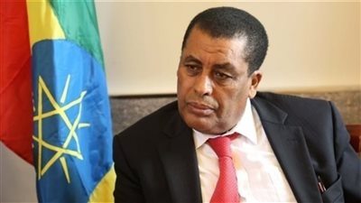 دينا مفتي: مقتل 12 من كبارقادة جبهة تيجراي 