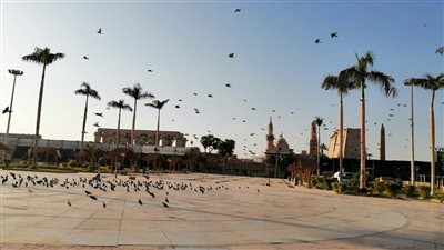 ساحة أبو الحجاج تتزين بالطيور تزامنًا مع احتفالية طريق الكباش | صور