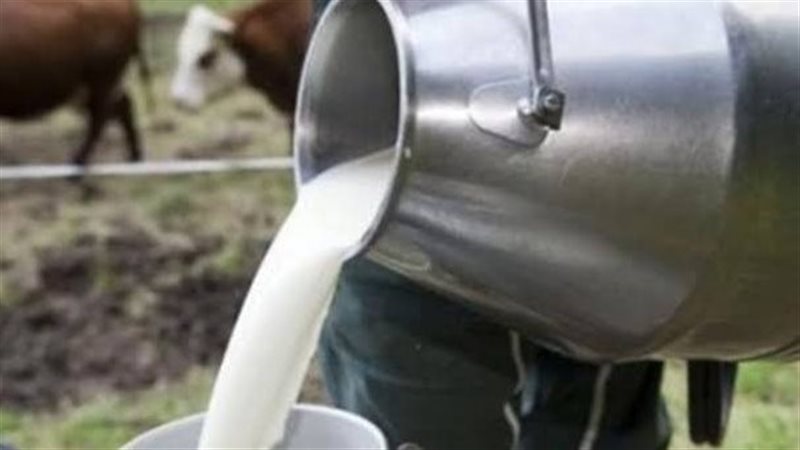  الألبان