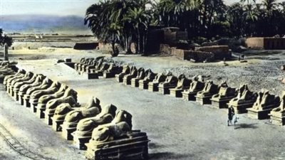 زاهي حواس: من يسير في آخر 300 متر بطريق الكباش يهتز قلبه