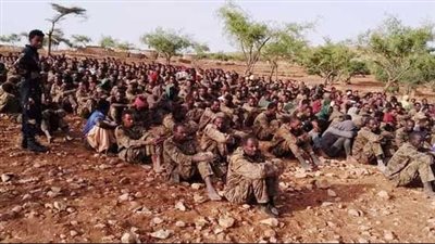 حصاد الدم.. آبي أحمد يترنح وهزيمة إثيوبيا على الأبواب