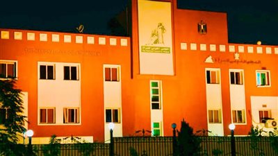 قومي المرأة ينير مبناه بالبرتقالي احتفالًا بمناهضة العنف ضد المرأة |صور