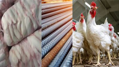 تراجع أسعار السلع في الأسواق: السكر ينخفض 500 جنيه.. والدواجن تهبط 15%.. والحديد يفقد 700 جنيه