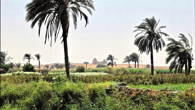 محافظة الفيوم