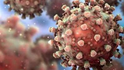 أخبار مصر: متحور أوميكرون يثير الذعر في أفريقيا.. وطريقة امتحانات الصفوف من 5 ابتدائي لـ 3 إعدادي