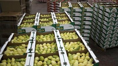 صادرات مصر الزراعية 5.2 مليون طن حتى الآن بزيادة 600 ألف طن عن نفس الفترة من العام الماضي