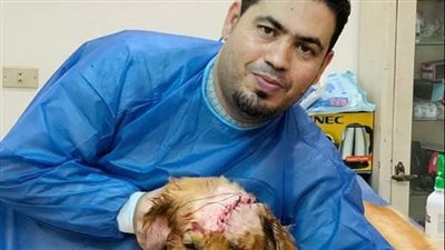 جراحة عاجلة بطب بيطري بنها تنقذ حياة الكلبة 