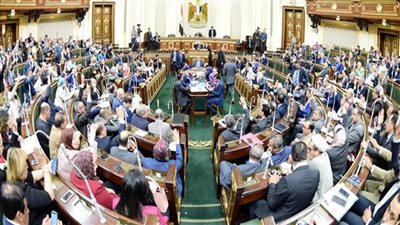 نائب منتقدًا الجامعات الأهلية: جاءت لمنافسة القطاع الخاص