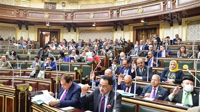 تعرف على تشكيل واختصاصات مجلس الجامعات الخاصة والأهلية في القانون الجديد 