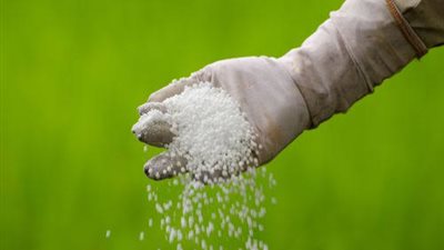 سؤال للحكومة بشأن تضارب أرقام وزارة الزراعة حول توريد الأسمدة 