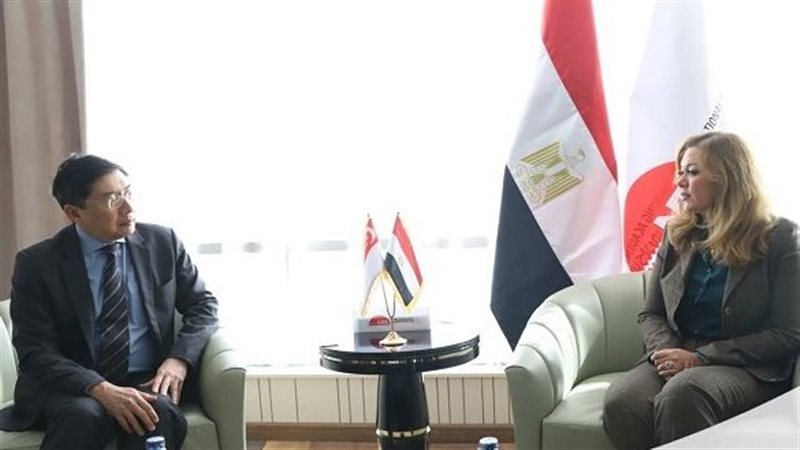 الدكتورة رشا راغب