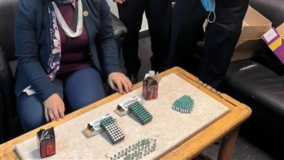 ضبط 250 طلقة نارية مع راكب فرنسي بمطار القاهرة