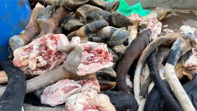 حملات تموينية بالفيوم تضبط لحوما فاسدة وسلعا مدعومة مهربة