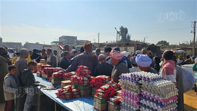 انطلاق سوق اليوم الواحد في البياضية شرقي الأقصر (صور)
