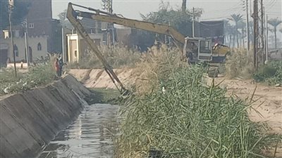 إزالة المخلفات وورد النيل من ترع أسيوط لضمان وصول المياه لنهايتها (صور) 