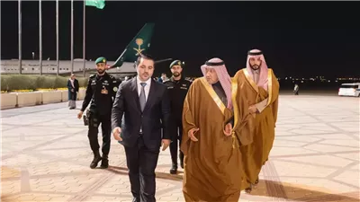 ملفات اجتماع وزراء الخارجية العرب لدعم سوريا، أبرزها رفع العقوبات والانتقال السلمي للسلطة 