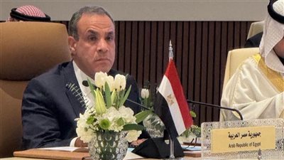 وزير الخارجية والهجرة يشارك في الاجتماع الوزاري العربي حول سوريا في الرياض