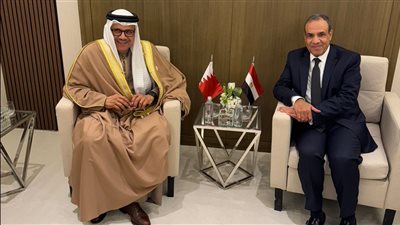وزير الخارجية والهجرة يجتمع بنظيره البحريني على هامش اجتماعات الرياض بشأن سوريا
