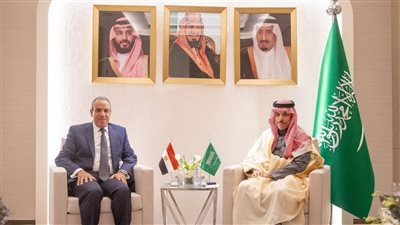 وزير الخارجية ونظيره السعودي يؤكدان أهمية تبني عملية سياسية يشارك فيها جميع السوريين 