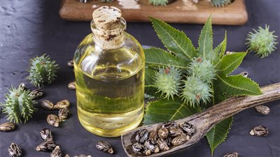 فوائد زيت الخروع، لشعر ورموش قوية وكثيفة وبشرة شابة