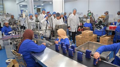 محافظ الدقهلية يتفقد المنطقة الصناعية بجمصة