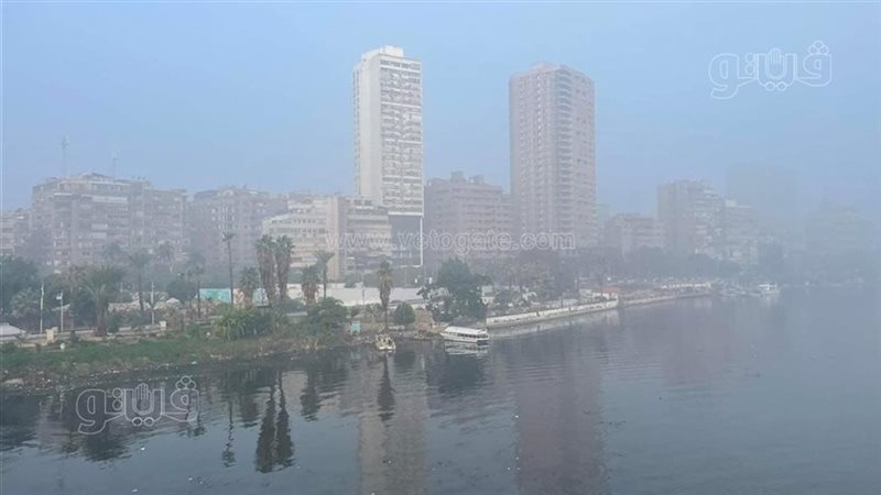 شبورة، فيتو