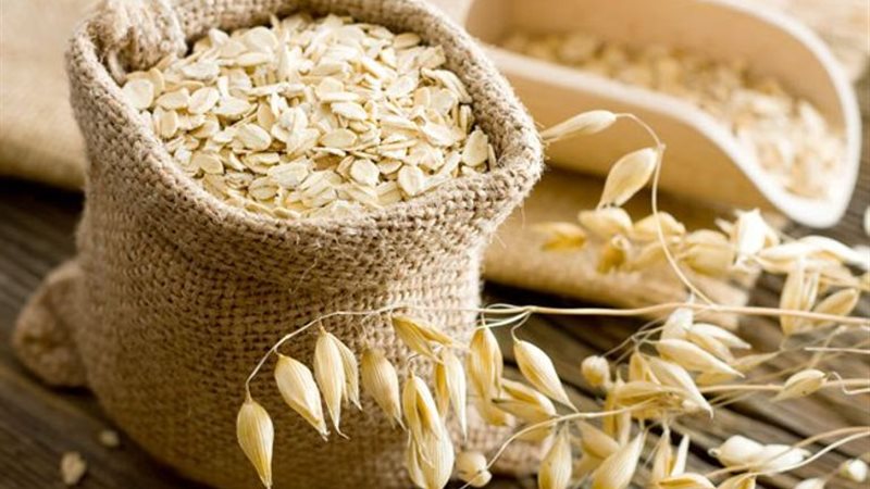 أسعار الشوفان اليوم،
