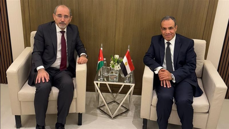 وزير الخارجية ونظيره