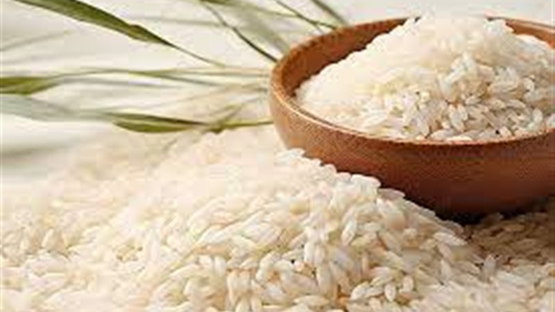 سعر الأرز