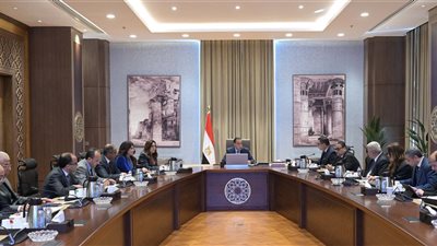 مدبولي يتابع جهود فض التشابكات المالية بين 