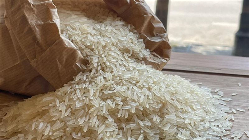 زيادة في أسعار الأرز