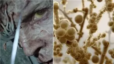 الخيال قد يصبح واقعا، تحذير من انتشار فطر قاتل يحول البشر إلى زومبي بسبب حرائق أمريكا