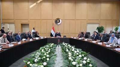 كامل الوزير يناقش مع 35 شركة للمشاركة في رفع كفاءة 43 مركزا تدريبا مهنيا