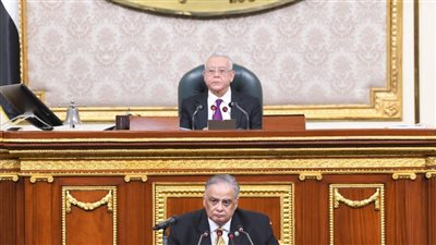 الحكومة تكشف حقيقة الخلاف تحت قبة البرلمان بسبب مشروع قانون الإجراءات الجنائية