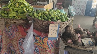 الجيزة تطلق منفذًا لبيع الخضراوات والفواكه بسعر الجملة بالسادس من أكتوبر (صور)