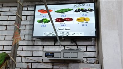 تشغيل شاشات إلكترونية لعرض أسعار السلع في 13 منفذا بالمنصورة 