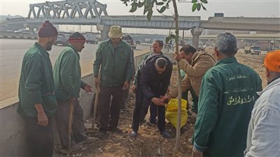وزيرة التنمية المحلية تتابع تنفيذ مشروع زراعة وتشجير الطريق الدائري