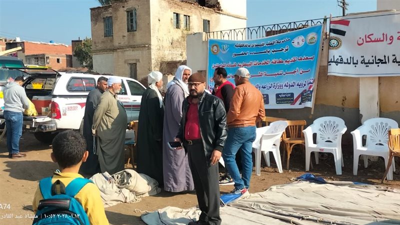 قافلة طبية بالدقهلية،