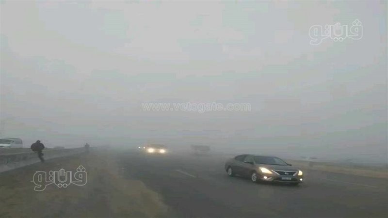 حوادث الطرق بالشرقية،فيتو